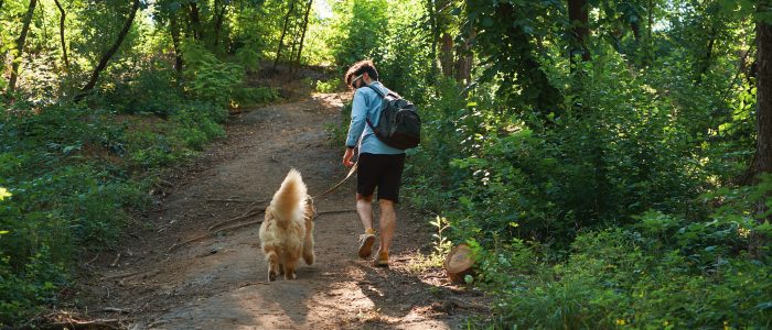 Mann läuft mit seinem Hund durch den Wald