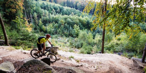 mountain-biker-riding-cycling-in-autumn-forest-pz2clgn-1024x683
